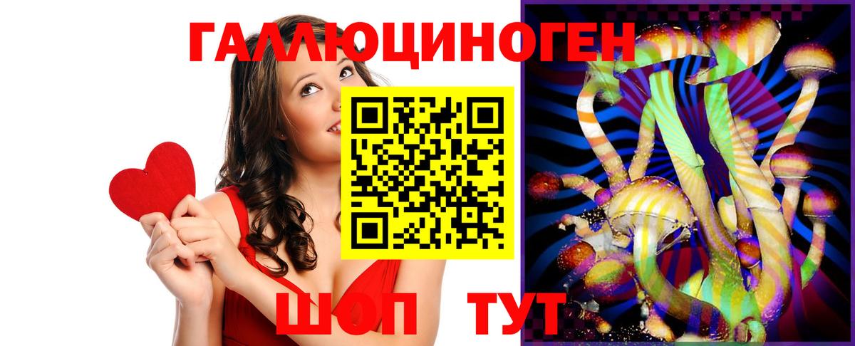 Гатчина  Галлюциногенные грибы прущие грибы  Вход с VPN  Псилоцибиновые грибы GOLDEN TEACHER 