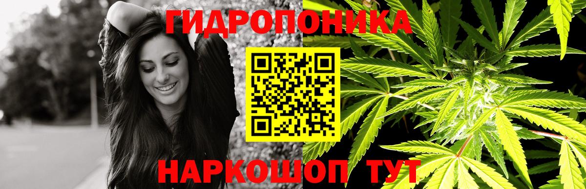 Марихуана SATIVA & INDICA Гатчина